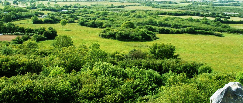 Green-Fields