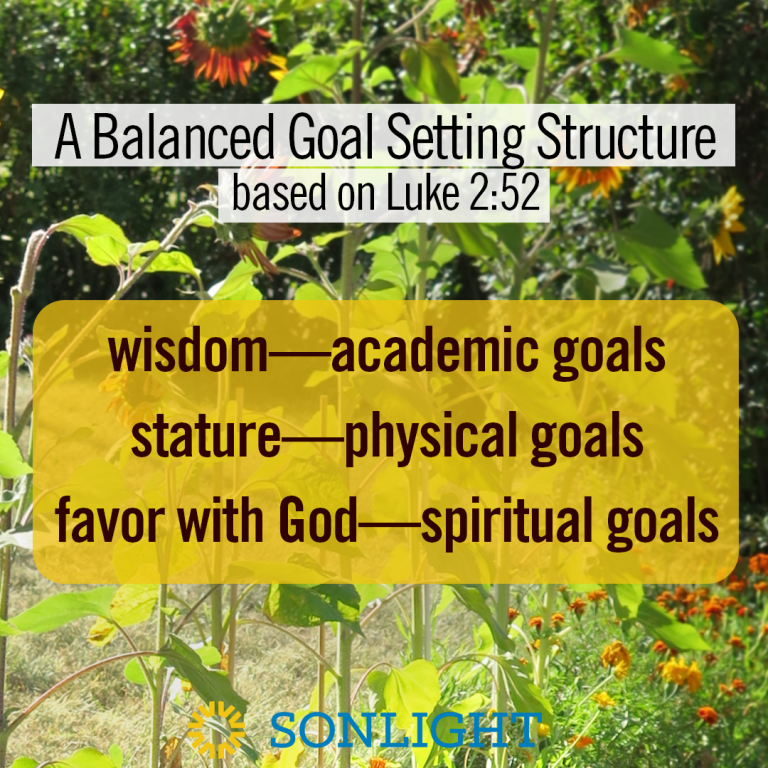 Balanced Goal Setting for Homeschool based on Luke 2:52: Wisdom, Stature, and Favor with God
