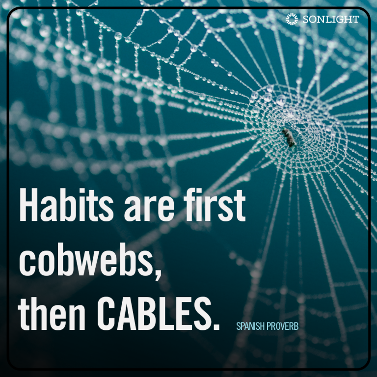 Habits are first cobwebs, then cables. (Spanish proverb)