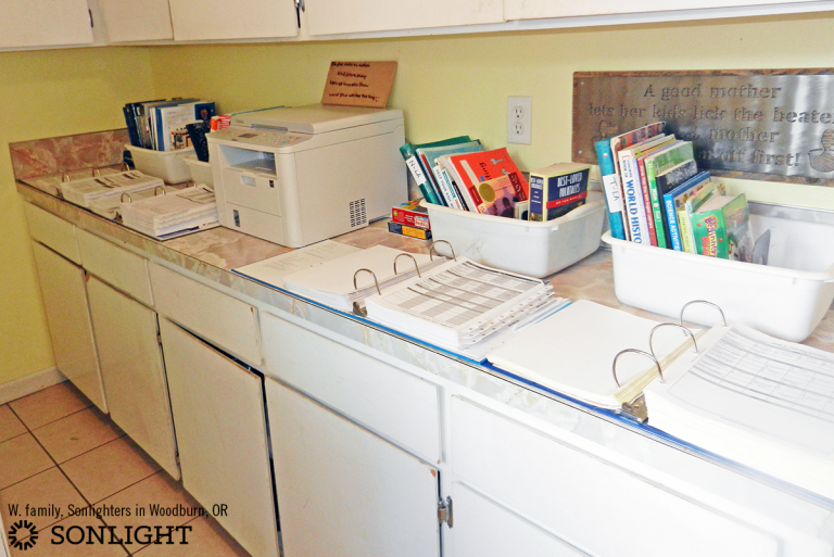 Current curriculum organized on laundry room counter.