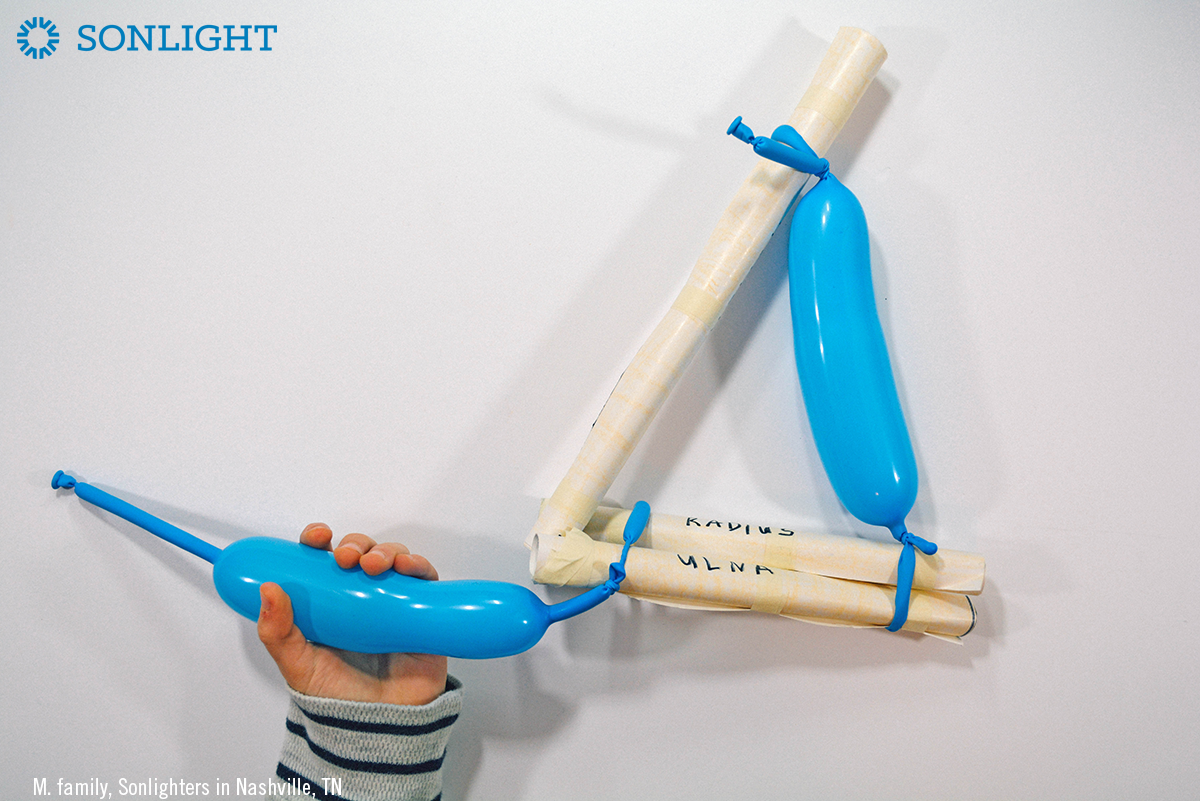 Build A Working Arm Muscle: A Science Activity Tutorial - Sonlight ...