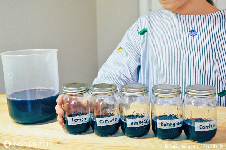 Pour a roughly equal amount of anthocyanin indicator into each labeled jar.