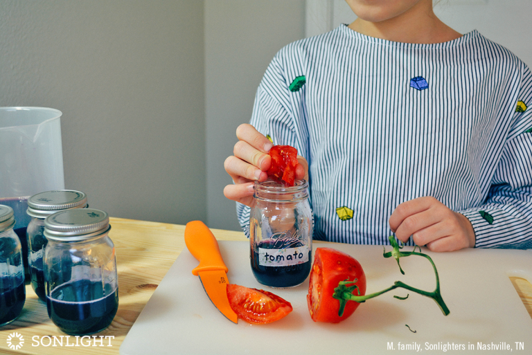 Squeeze the tomato wedge into the jar labeled tomato, then drop the wedge in the liquid, too. 