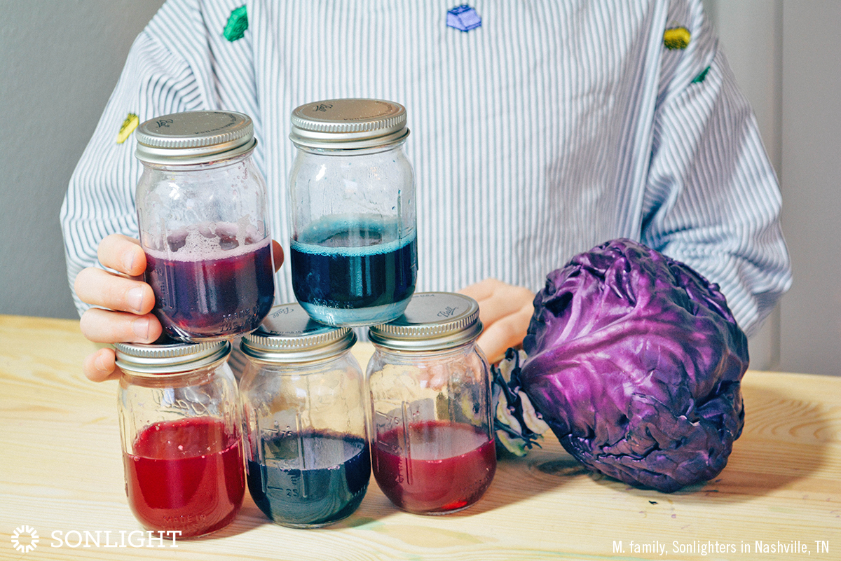 kitchen-chemistry-testing-ph-levels-with-cabbage-sonlight