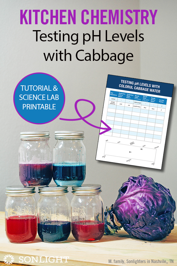 Kitchen Chemistry Testing pH Levels with Cabbage Sonlight