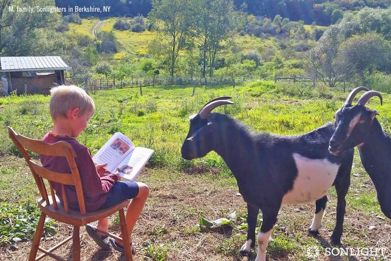 Boy reading to goats outside