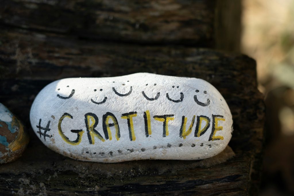 How to teach gratitude to kids.
Thank you to Nick Fewing, Unsplash.